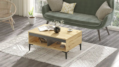 Table basse scandinave ALIZÉ, en bois clair avec rangement et finition grise élégante, vue de salon.