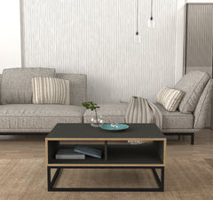 Graphite-antracite-bois-acier-table-basse-salon-moderne